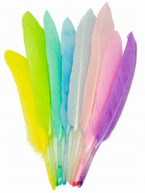 Piórka Dekoracyjne Pióra Lotki Scrapbooking Ozdobne Dodatki Lekkie Kolorowe Piórka Dekoracyjne Pióra Lotki Scrapbooking Ozdobne Dodatki Lekkie Kolorowe