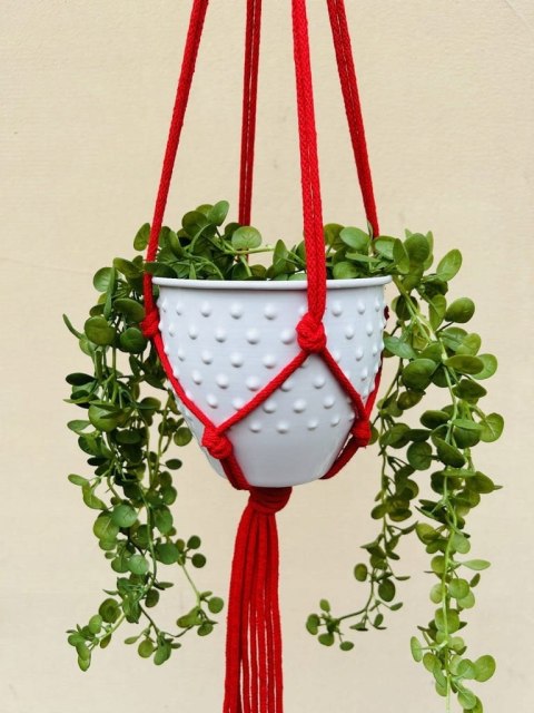Kwietnik Wiszący na Ścianę Makrama ze Sznurka na Kwiaty Styl BOHO Czerwony Kwietnik Wiszący na Ścianę Makrama ze Sznurka na Kwiaty Styl BOHO Czerwony