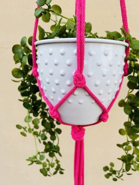 Kwietnik Wiszący na Ścianę Makrama ze Sznurka na Kwiaty Styl BOHO Fuksja Kwietnik Wiszący na Ścianę Makrama ze Sznurka na Kwiaty Styl BOHO Fuksja