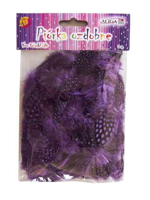 Piórka Dekoracyjne Pióra Lotki Scrapbooking Ozdoby Nakrapiane Fioletowe Piórka Dekoracyjne Pióra Lotki Scrapbooking Ozdoby Nakrapiane Fioletowe