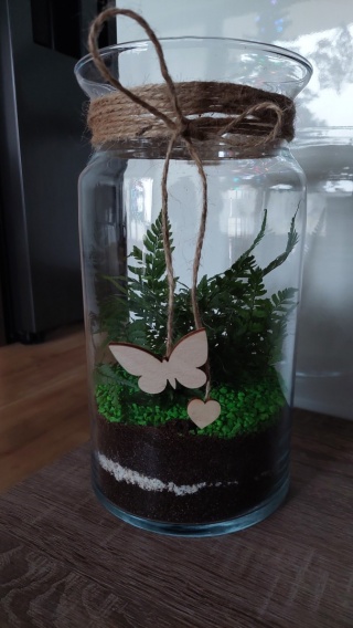 Drewniane Motylki Motylek 500 szt. Motyl Scrapki Ozdobne Dekory Dodatek Eko
