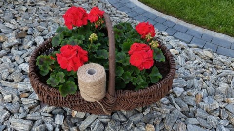 Sznurek Jutowy Naturalny Ekologiczny 100% Juta Ozdobny Pakowy 250m 2mm Sznurek Jutowy Naturalny Ekologiczny 100% Juta Ozdobny Pakowy 250m 2mm